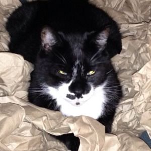 Meet your Posher, Linda